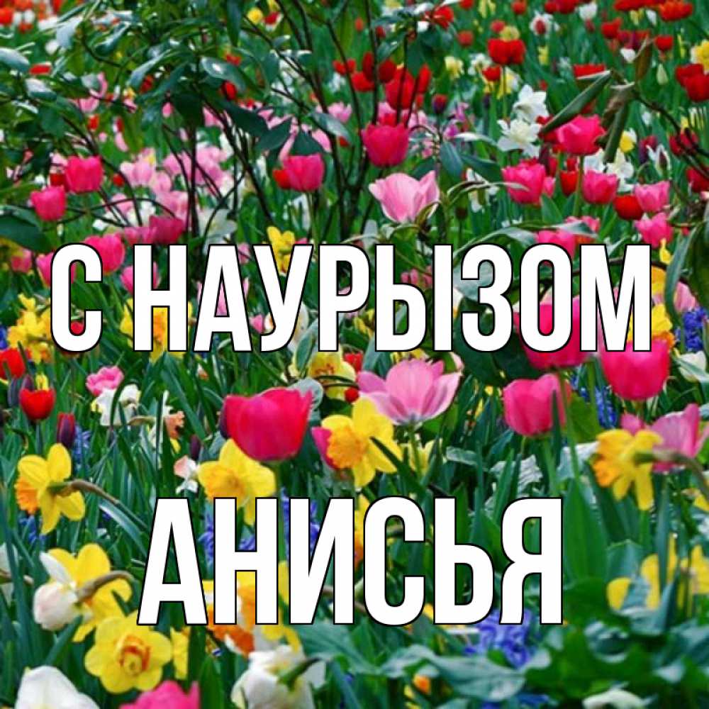 Открытка на каждый день с именем, Анисья С наурызом с наурызом праздником весны поздравления для женщины Прикольная открытка с пожеланием онлайн скачать бесплатно 