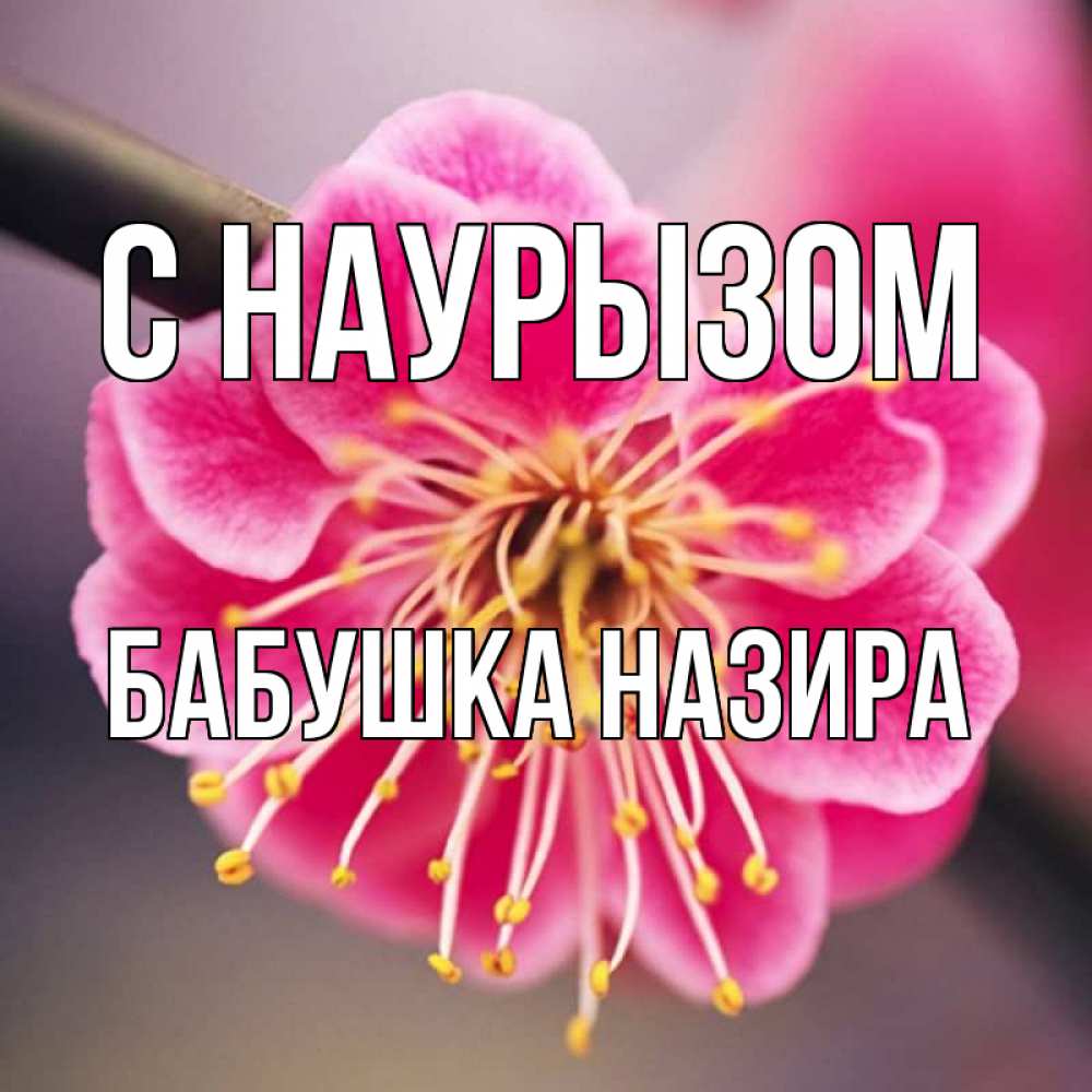 Открытка на каждый день с именем, Бабушка-Назира С наурызом цветы Прикольная открытка с пожеланием онлайн скачать бесплатно 