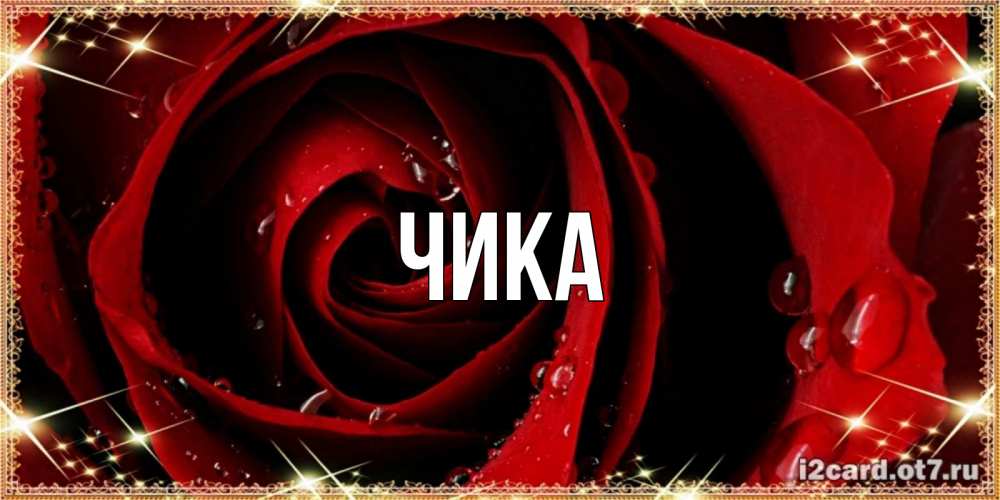 Открытка на каждый день с именем, Чика Главная цветок в росе на день рождения Прикольная открытка с пожеланием онлайн скачать бесплатно 