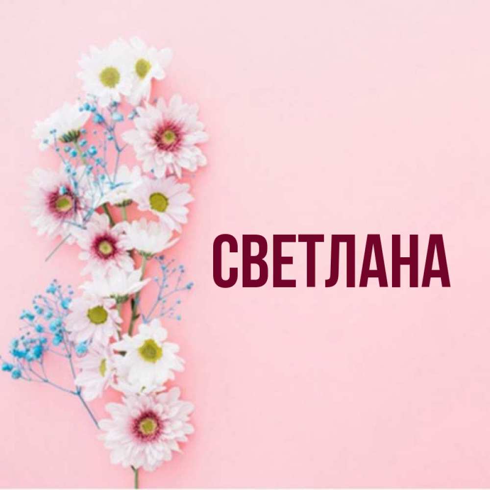 Светлана имя картинка