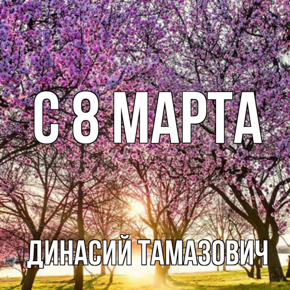 Картинка С 8 МАРТА, Динасий Тамазович