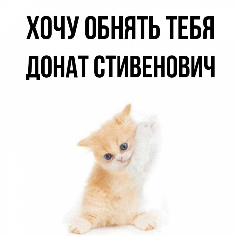 Открытка на каждый день с именем, Донат-Стивенович Хочу обнять тебя я хочу очень скорее обнимаешек Прикольная открытка с пожеланием онлайн скачать бесплатно 