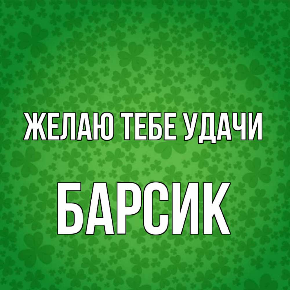 Имя барсик. Барсик логотип. Прикол по именам Барсик. Обой с надписью:я Барсик.