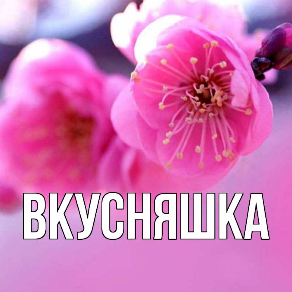 Открытка на каждый день с именем, Вкусняшка Главная международный женский день Прикольная открытка с пожеланием онлайн скачать бесплатно 