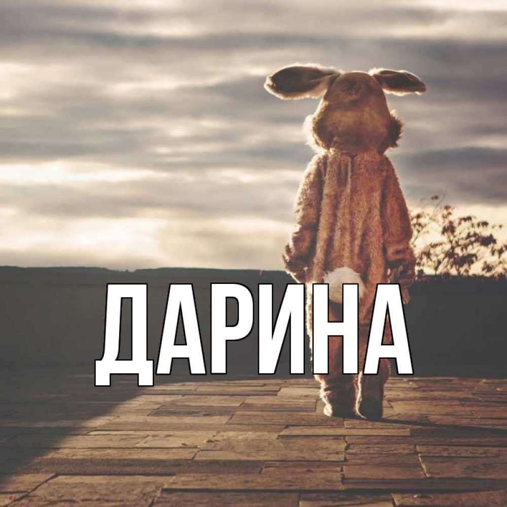 Открытка на каждый день с именем, Дарина Главная даже в костюме зайца Прикольная открытка с пожеланием онлайн скачать бесплатно 