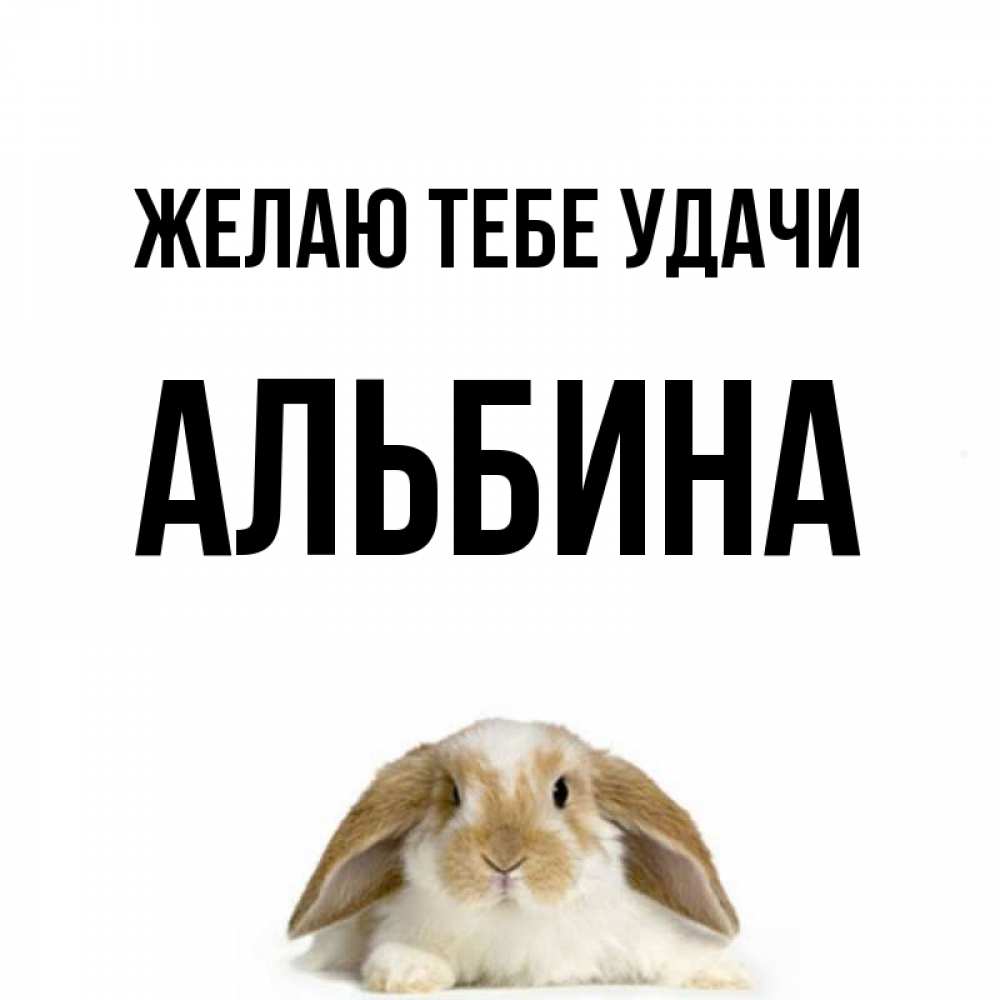 Прикольные картинки на имя альбина, картинка любимому