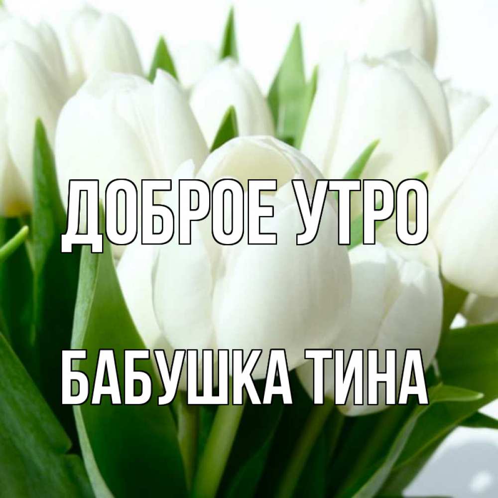 Открытка на каждый день с именем, Бабушка-Тина Доброе утро открытки на каждый день по именам Прикольная открытка с пожеланием онлайн скачать бесплатно 