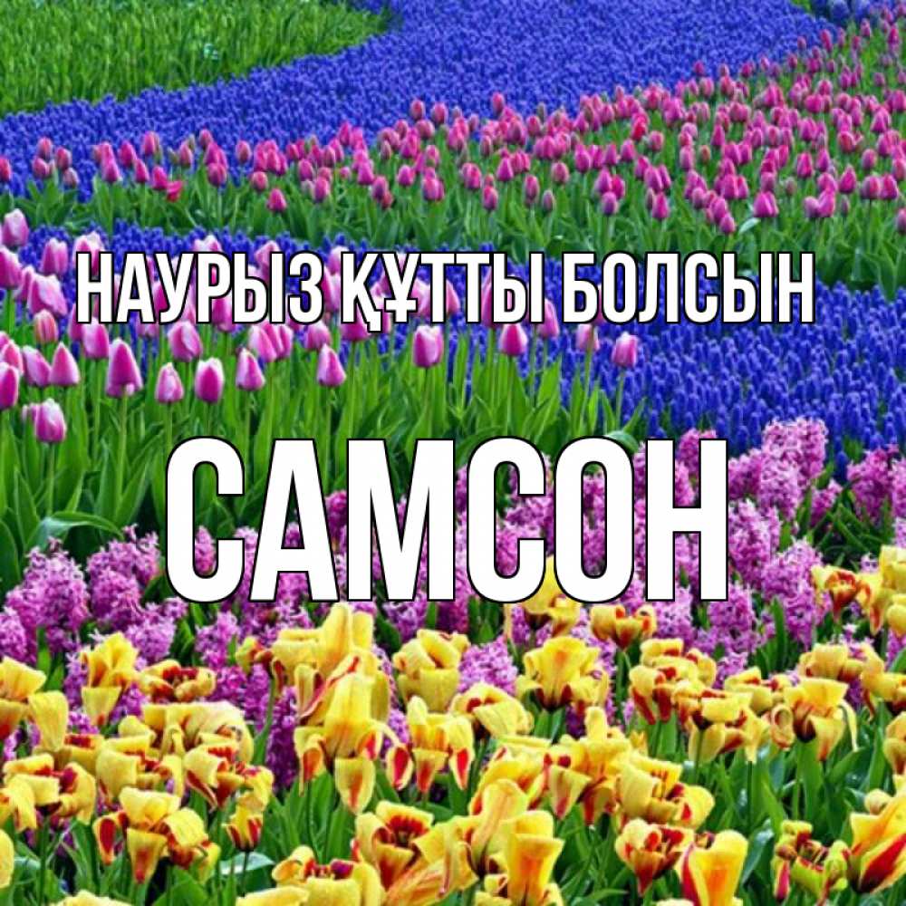 Открытка на каждый день с именем, Самсон Наурыз құтты болсын цветы Прикольная открытка с пожеланием онлайн скачать бесплатно 