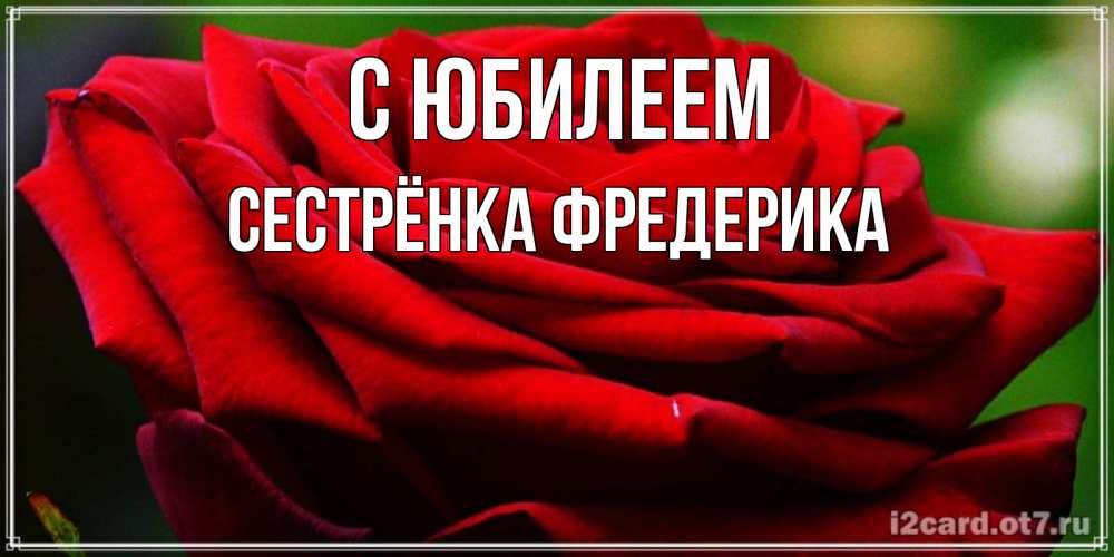 Открытка на каждый день с именем, Сестрёнка-Фредерика С юбилеем розочка очень красивая Прикольная открытка с пожеланием онлайн скачать бесплатно 