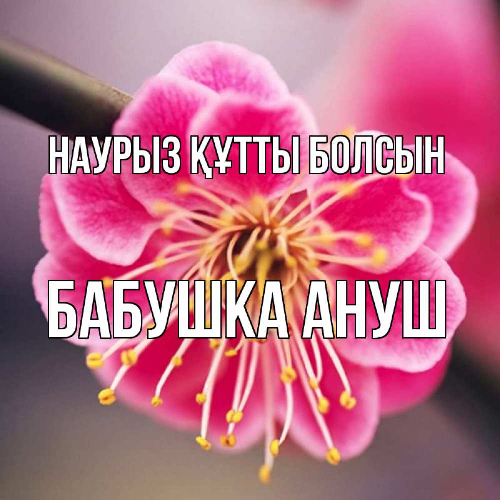 Открытка на каждый день с именем, Бабушка-Ануш Наурыз құтты болсын цветы Прикольная открытка с пожеланием онлайн скачать бесплатно 