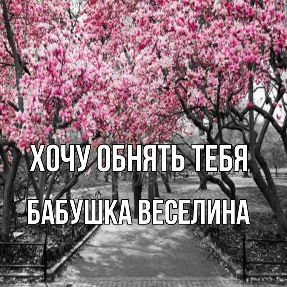 Открытка на каждый день с именем, Бабушка-Веселина Хочу обнять тебя обработанное фото Прикольная открытка с пожеланием онлайн скачать бесплатно 