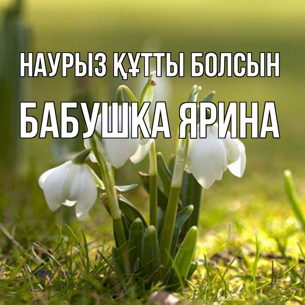 Открытка на каждый день с именем, Бабушка-Ярина Наурыз құтты болсын ранние цветы 2 Прикольная открытка с пожеланием онлайн скачать бесплатно 
