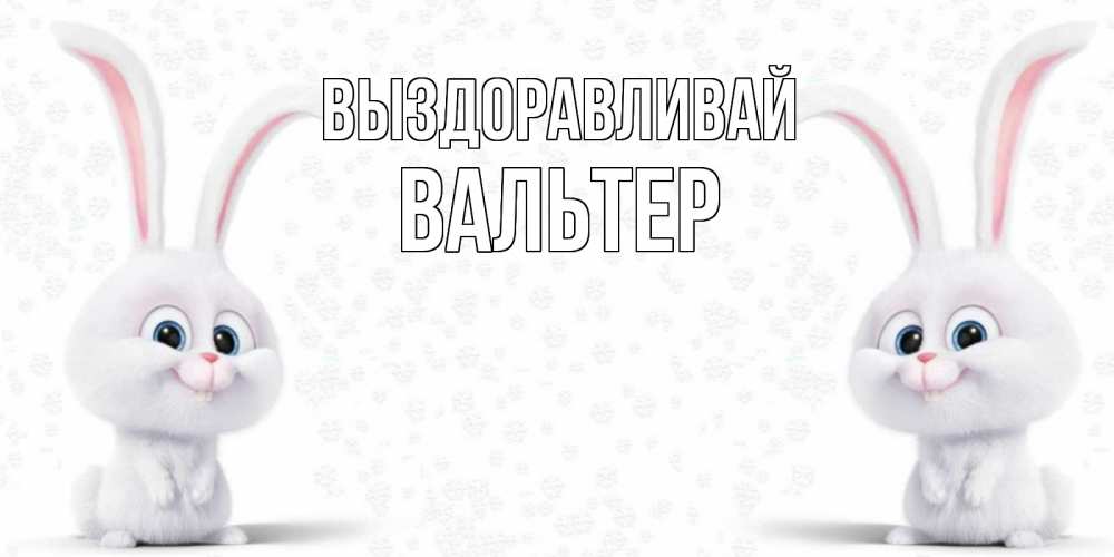 Открытка на каждый день с именем, Вальтер Выздоравливай не болей с зайцем Прикольная открытка с пожеланием онлайн скачать бесплатно 