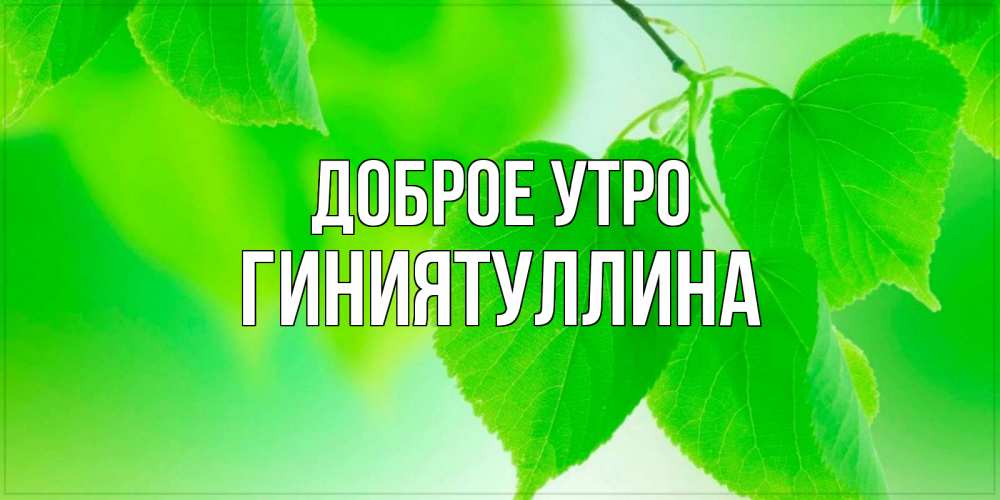 Открытка на каждый день с именем, Гиниятуллина Доброе утро доброе утро с березовыми листьями Прикольная открытка с пожеланием онлайн скачать бесплатно 