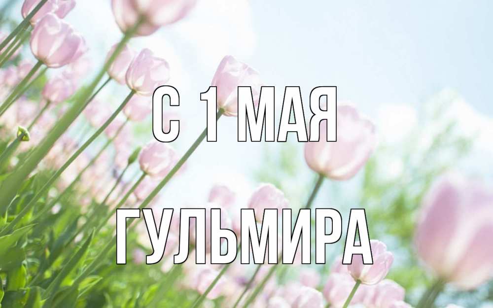 Открытка на каждый день с именем, Гульмира С 1 мая С 1 мая Прикольная открытка с пожеланием онлайн скачать бесплатно 