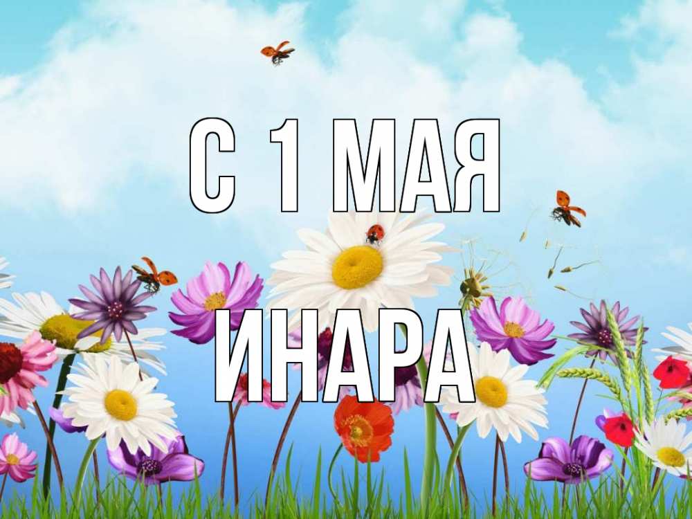 Открытка на каждый день с именем, Инара С 1 мая С 1 мая Прикольная открытка с пожеланием онлайн скачать бесплатно 