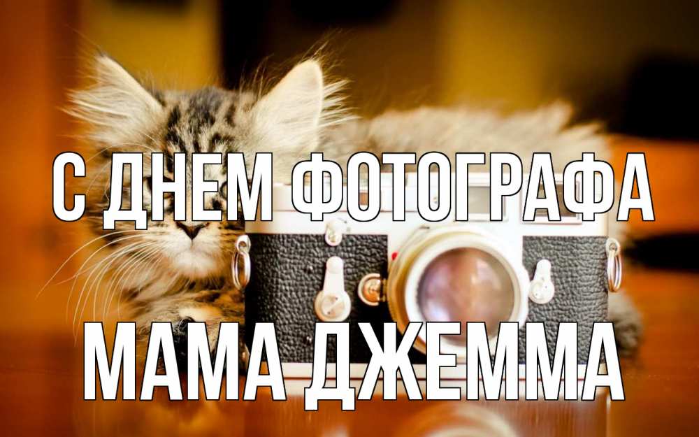 Открытка на каждый день с именем, Мама-Джемма С днем фотографа с днем фотографа Прикольная открытка с пожеланием онлайн скачать бесплатно 