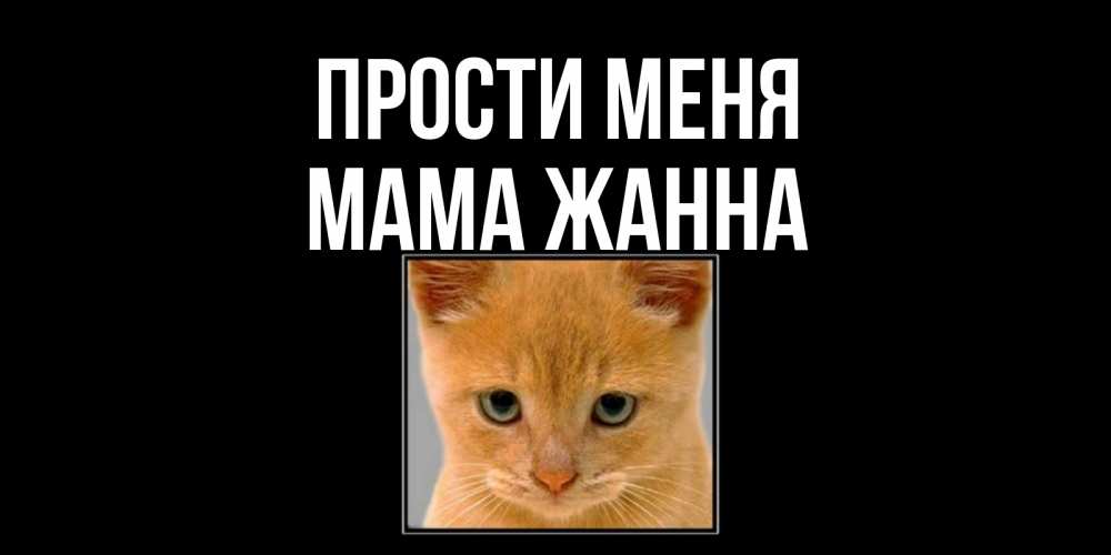 Открытка на каждый день с именем, Мама-Жанна Прости меня рыжий грустный кот просит прощения Прикольная открытка с пожеланием онлайн скачать бесплатно 