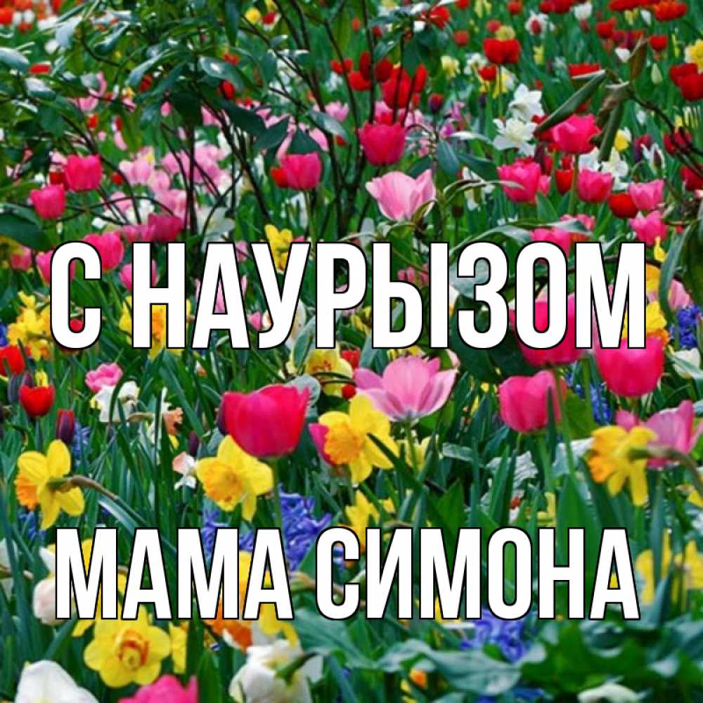 Открытка на каждый день с именем, Мама-Симона С наурызом с наурызом праздником весны поздравления для женщины Прикольная открытка с пожеланием онлайн скачать бесплатно 