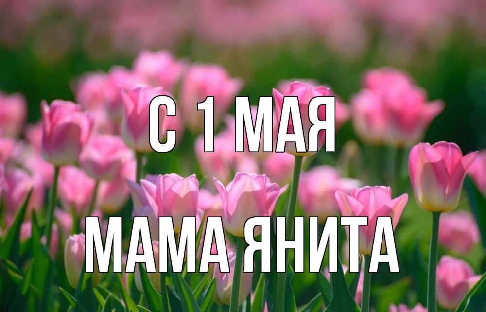 Открытка на каждый день с именем, Мама-Янита С 1 мая С 1 мая Прикольная открытка с пожеланием онлайн скачать бесплатно 