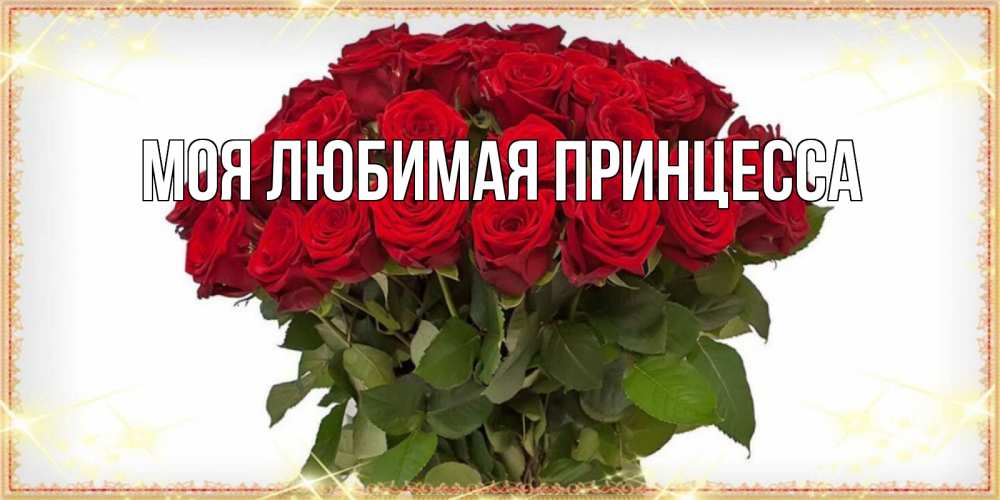 Открытка на каждый день с именем, Моя-Любимая-Принцесса Главная поздравляю с праздник весны наурыз Прикольная открытка с пожеланием онлайн скачать бесплатно 