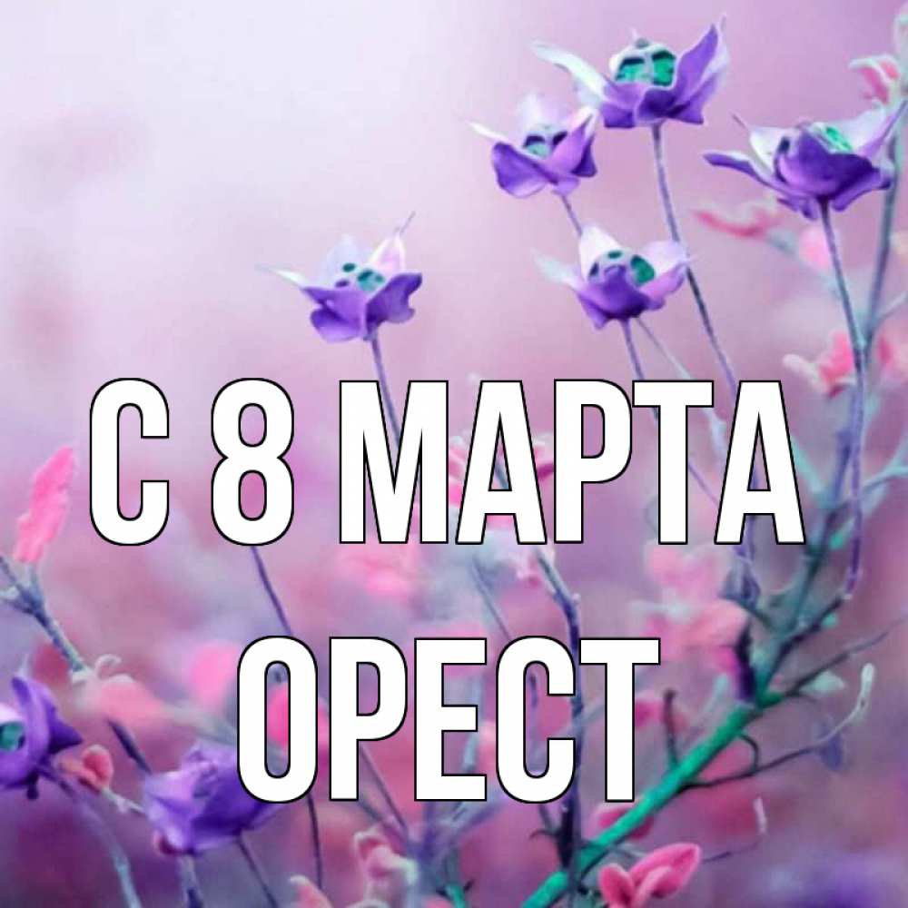 Открытка на каждый день с именем, Орест С 8 марта международный женский день 2 Прикольная открытка с пожеланием онлайн скачать бесплатно 