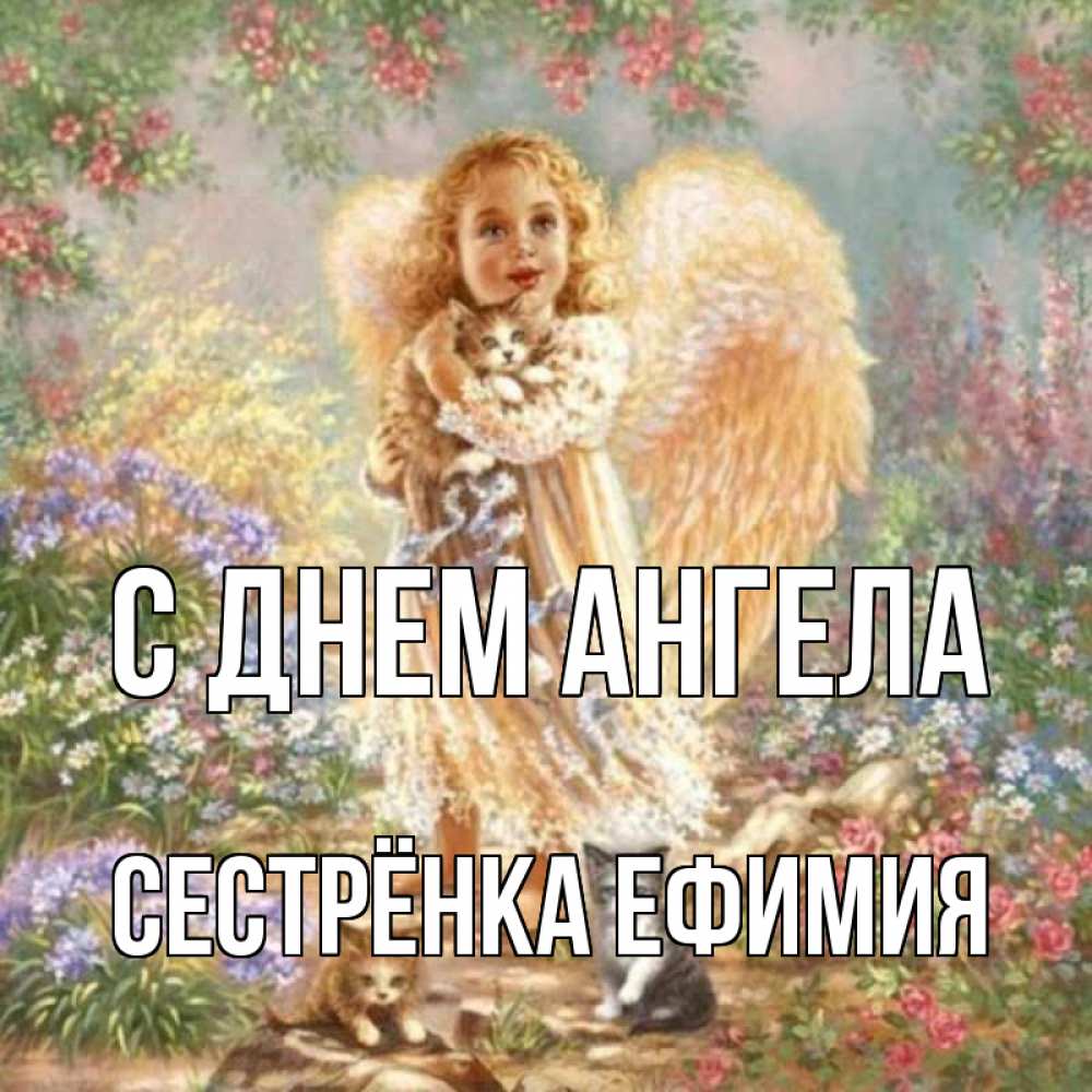 Открытка на каждый день с именем, Сестрёнка-Ефимия С днем ангела держит котенка Прикольная открытка с пожеланием онлайн скачать бесплатно 