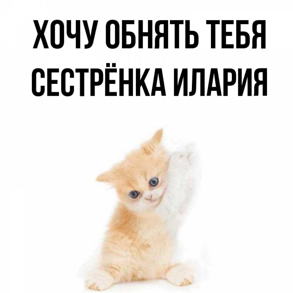 Открытка на каждый день с именем, Сестрёнка-Илария Хочу обнять тебя я хочу очень скорее обнимаешек Прикольная открытка с пожеланием онлайн скачать бесплатно 