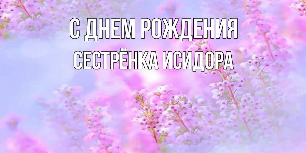 Открытка на каждый день с именем, Сестрёнка-Исидора С днем рождения красивая открытка с мелкими цветами Прикольная открытка с пожеланием онлайн скачать бесплатно 