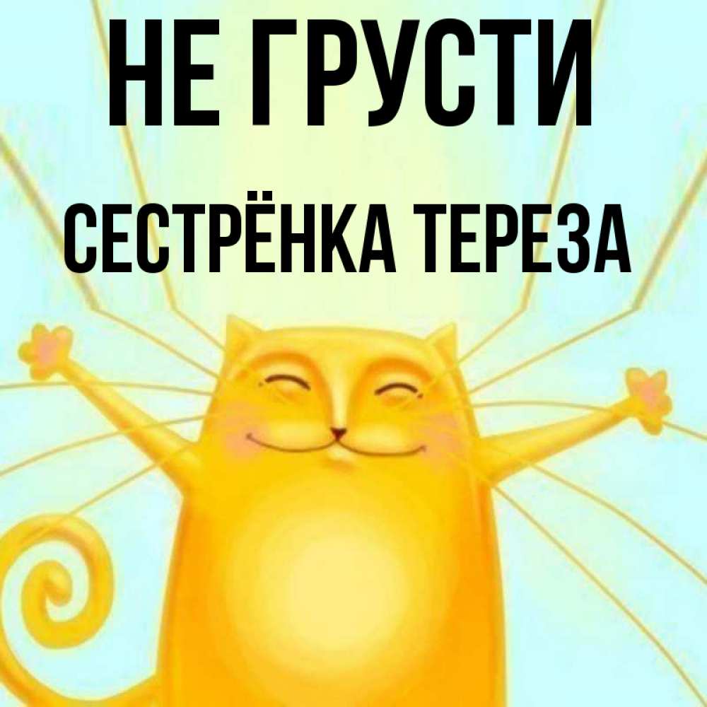 Открытка на каждый день с именем, Сестрёнка-Тереза Не грусти обнимашки усатые Прикольная открытка с пожеланием онлайн скачать бесплатно 
