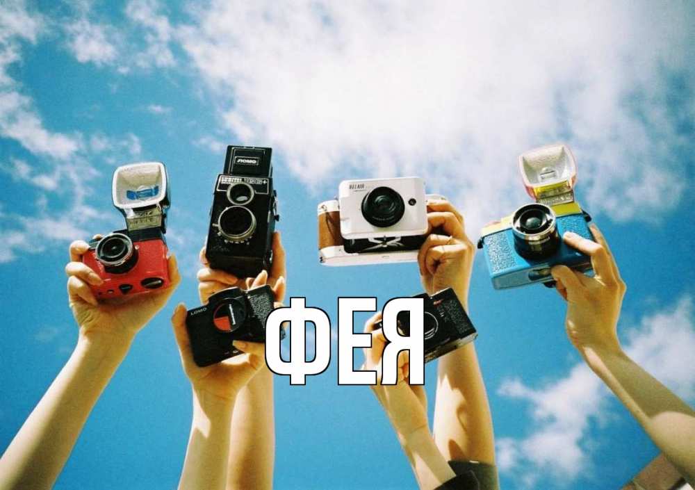 Открытка на каждый день с именем, Фея Главная с днем фотографа Прикольная открытка с пожеланием онлайн скачать бесплатно 