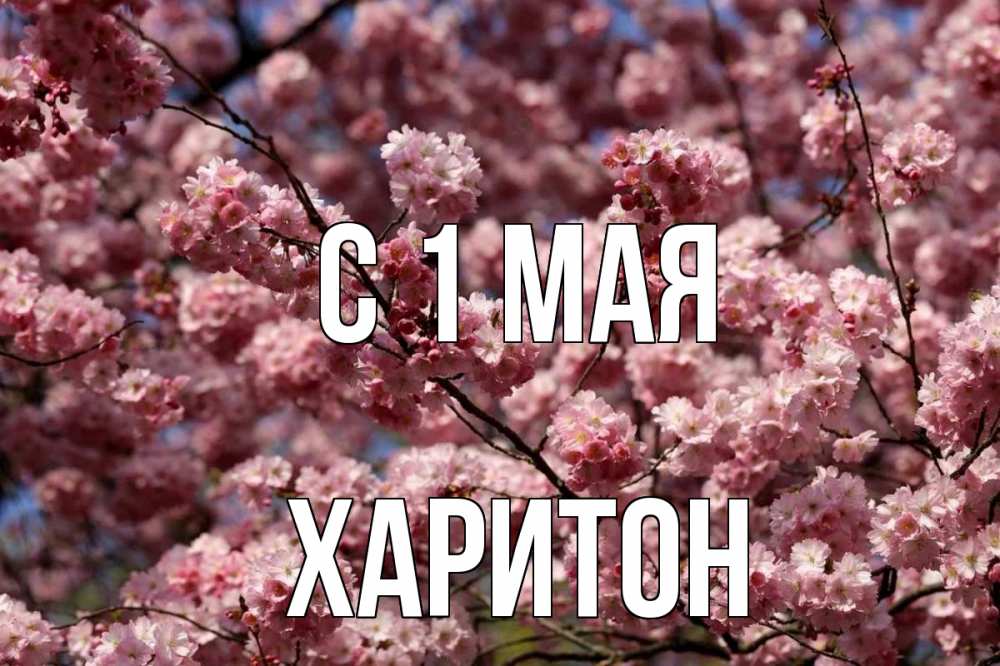 Открытка на каждый день с именем, Харитон С 1 мая С 1 мая Прикольная открытка с пожеланием онлайн скачать бесплатно 