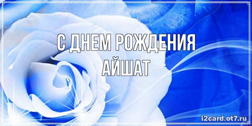 Открытка на каждый день с именем, АЙШАТ С днем рождения белая роза на голубом фоне Прикольная открытка с пожеланием онлайн скачать бесплатно 
