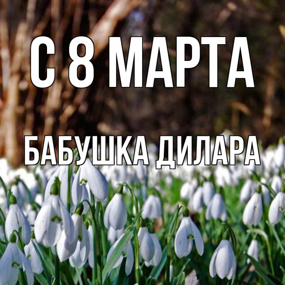 Открытка на каждый день с именем, Бабушка-Дилара С 8 МАРТА с подснежниками 1 Прикольная открытка с пожеланием онлайн скачать бесплатно 