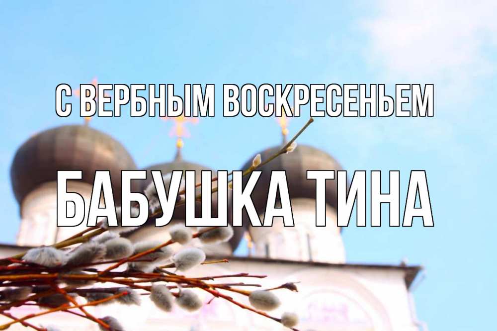 Открытка на каждый день с именем, Бабушка-Тина С вербным воскресеньем верба Прикольная открытка с пожеланием онлайн скачать бесплатно 