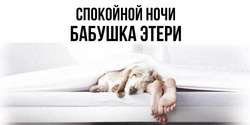 Открытка на каждый день с именем, Бабушка-Этери Спокойной ночи кровать с собакой пожелание сладких снов и спокойной ночи Прикольная открытка с пожеланием онлайн скачать бесплатно 