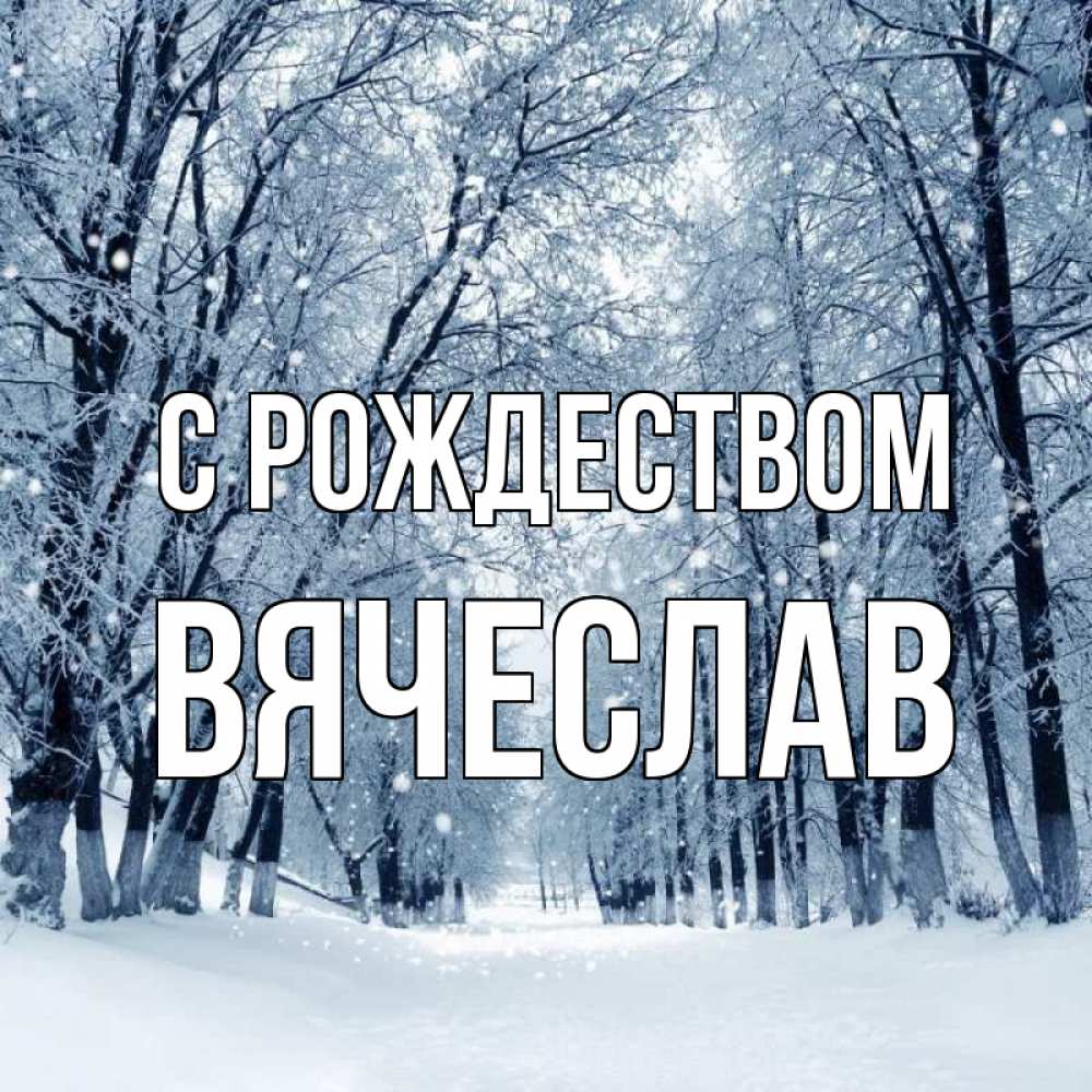 Открытка на каждый день с именем, Вячеслав С рождеством снег, лес, парк Прикольная открытка с пожеланием онлайн скачать бесплатно 