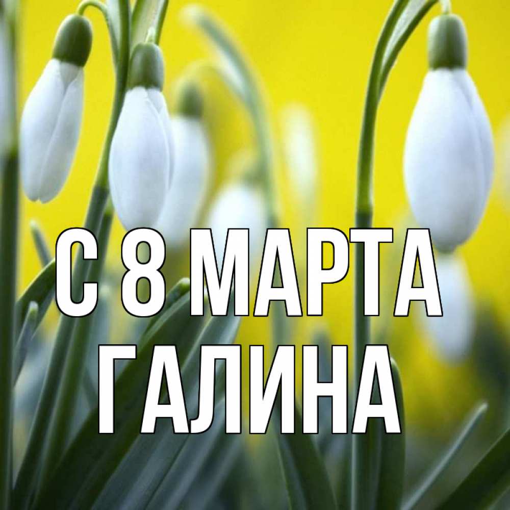 Открытка на каждый день с именем, Галина С 8 МАРТА весенние цветы Прикольная открытка с пожеланием онлайн скачать бесплатно 