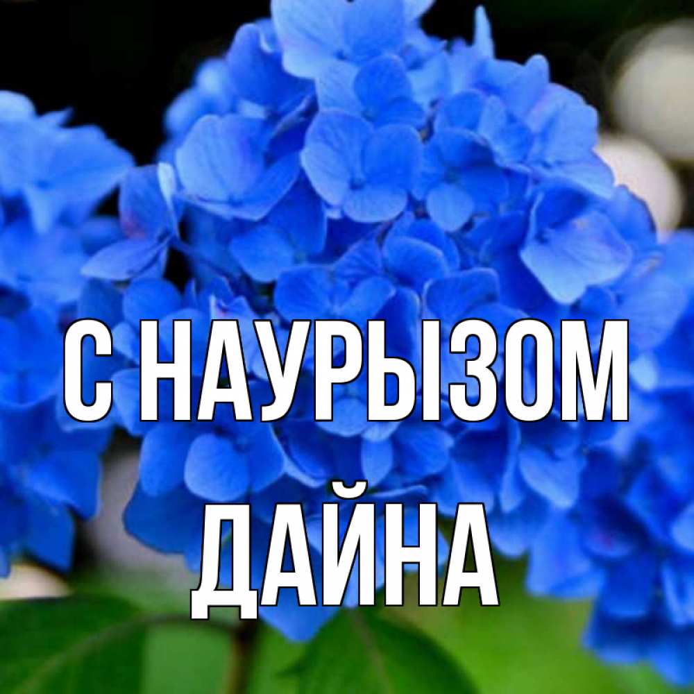 Открытка на каждый день с именем, Дайна С наурызом синие цветы Прикольная открытка с пожеланием онлайн скачать бесплатно 