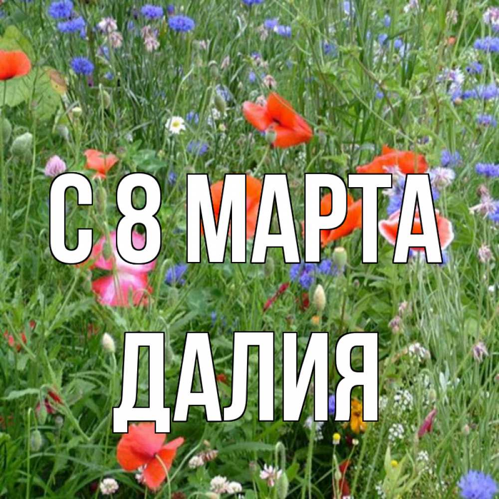 Открытка на каждый день с именем, Далия С 8 МАРТА международный женский день 4 Прикольная открытка с пожеланием онлайн скачать бесплатно 