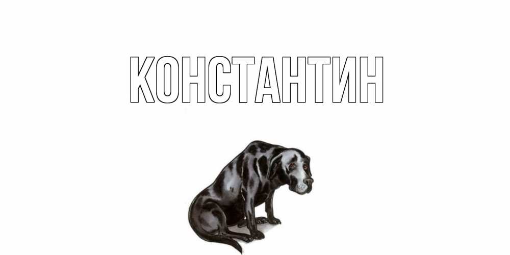 Открытка на каждый день с именем, Константин Главная я по тебе скучаю открытка с собакой Прикольная открытка с пожеланием онлайн скачать бесплатно 