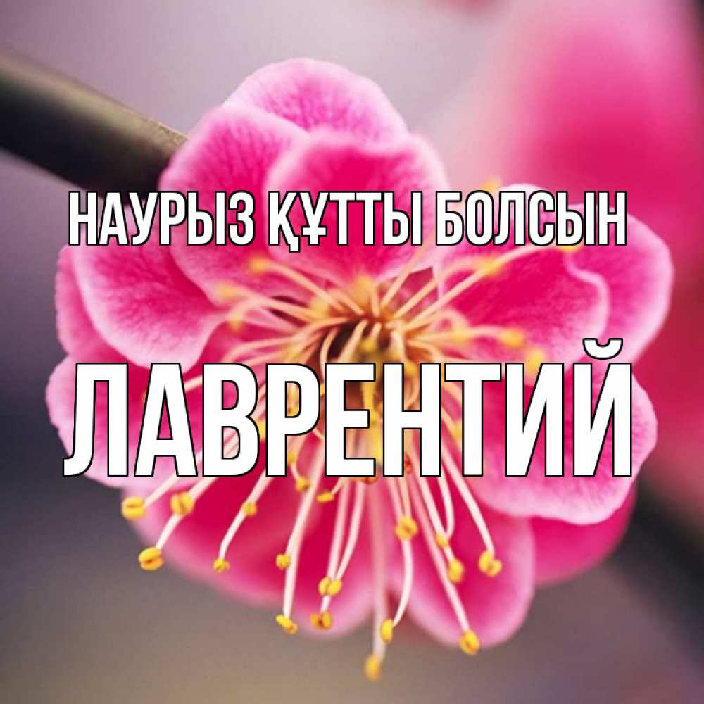 Открытка на каждый день с именем, Лаврентий Наурыз құтты болсын цветы Прикольная открытка с пожеланием онлайн скачать бесплатно 