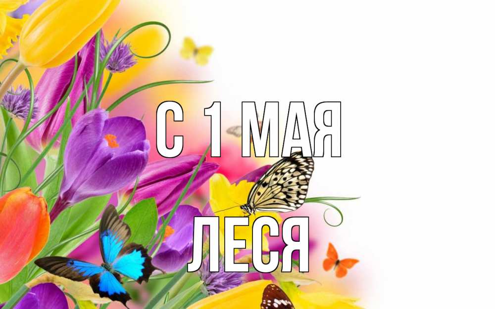 Открытка на каждый день с именем, Леся С 1 мая С 1 мая Прикольная открытка с пожеланием онлайн скачать бесплатно 