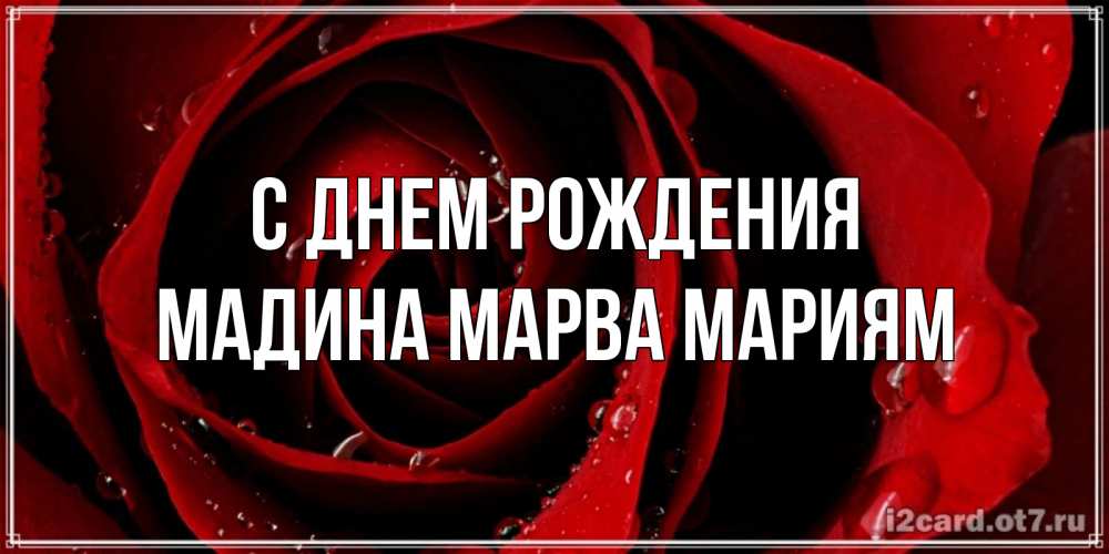 Открытка на каждый день с именем, Мадина-марва-мариям С днем рождения крупная бордовая роза Прикольная открытка с пожеланием онлайн скачать бесплатно 