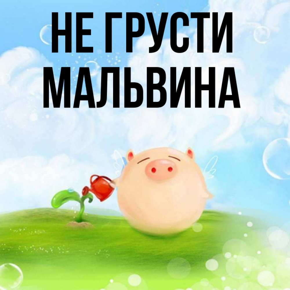 Открытка на каждый день с именем, Мальвина Не грусти поливает цветок порося Прикольная открытка с пожеланием онлайн скачать бесплатно 