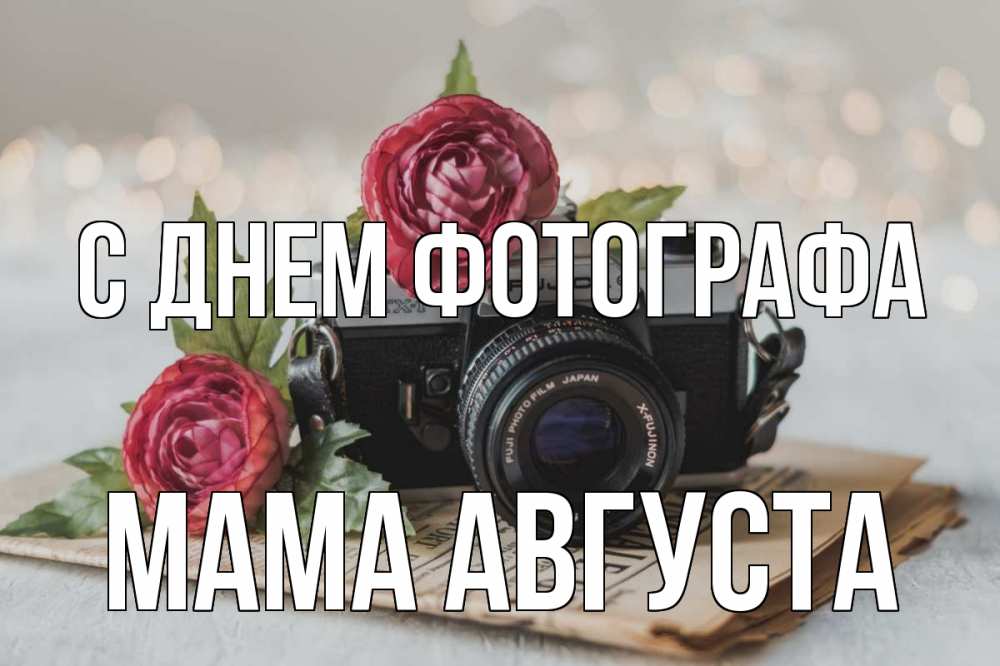 Открытка на каждый день с именем, Мама-Августа С днем фотографа с днем фотографа Прикольная открытка с пожеланием онлайн скачать бесплатно 