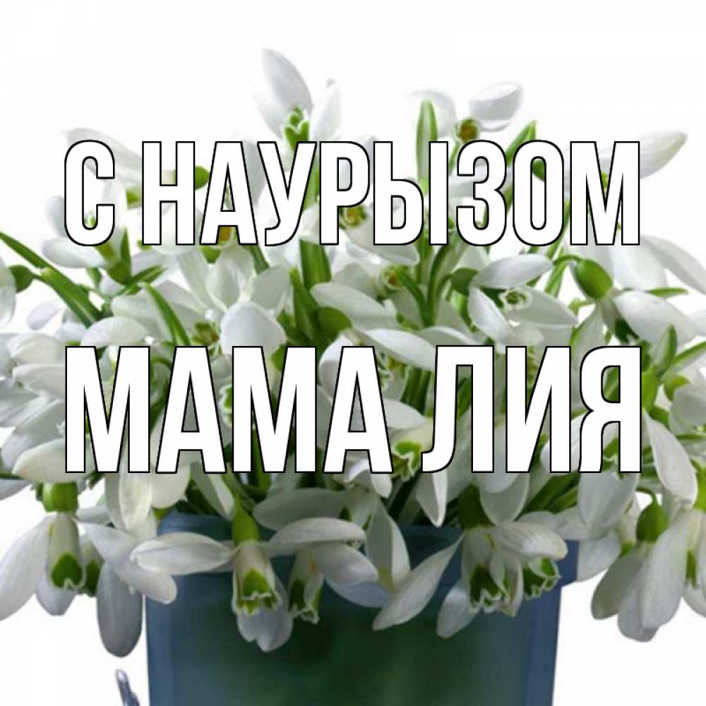 Открытка на каждый день с именем, Мама-Лия С наурызом цветы к наурызу новый год в Казахстане Прикольная открытка с пожеланием онлайн скачать бесплатно 
