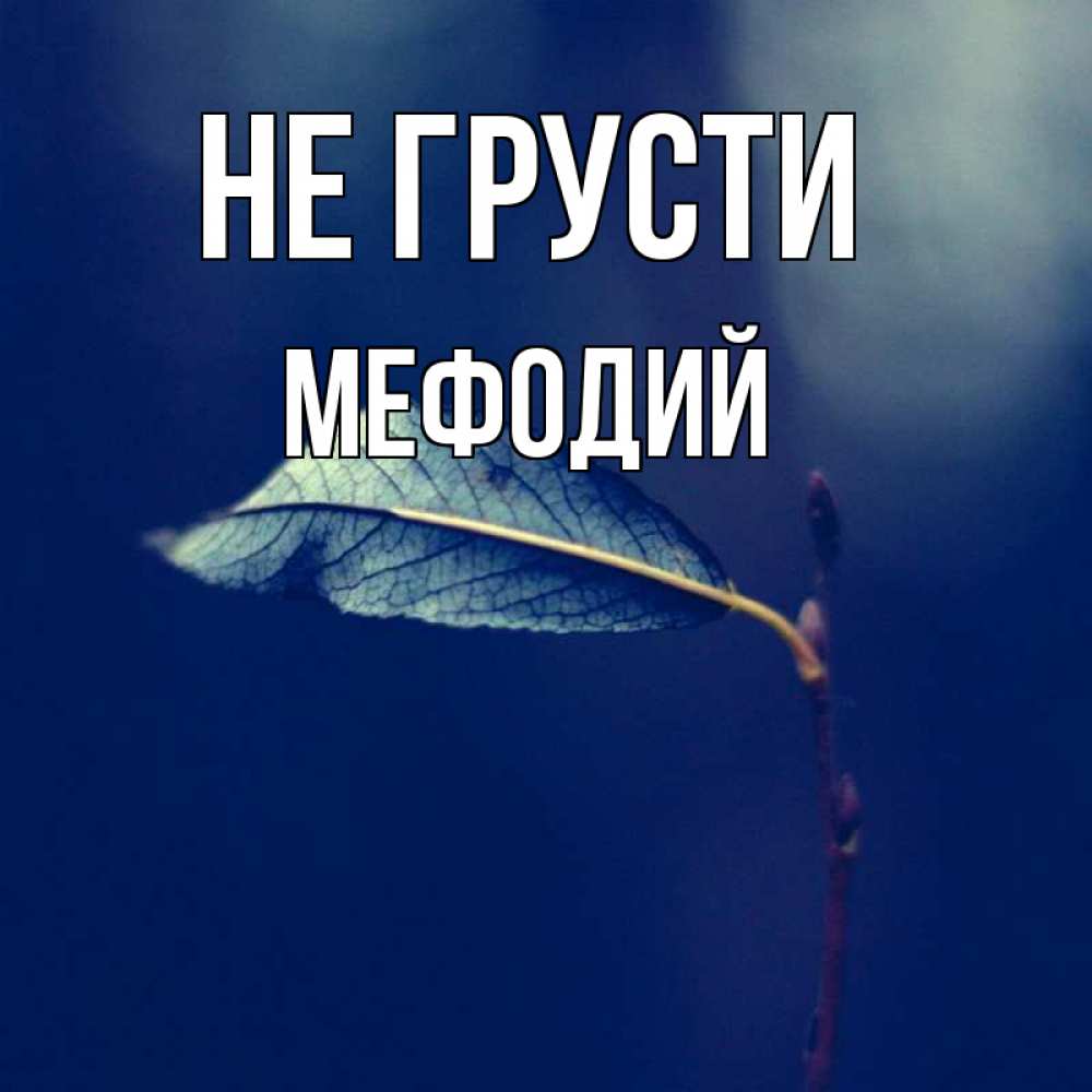 Открытка на каждый день с именем, Мефодий Не грусти растение Прикольная открытка с пожеланием онлайн скачать бесплатно 