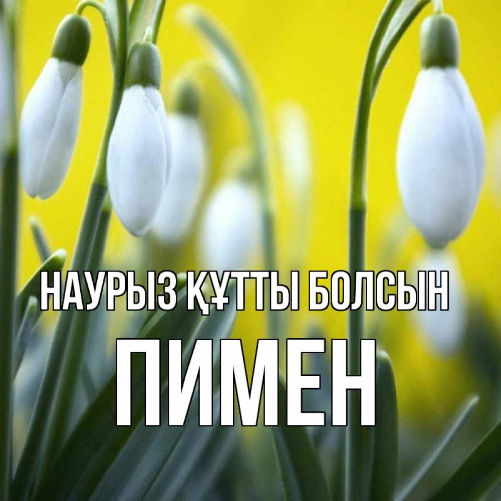 Открытка на каждый день с именем, Пимен Наурыз құтты болсын весенние цветы Прикольная открытка с пожеланием онлайн скачать бесплатно 