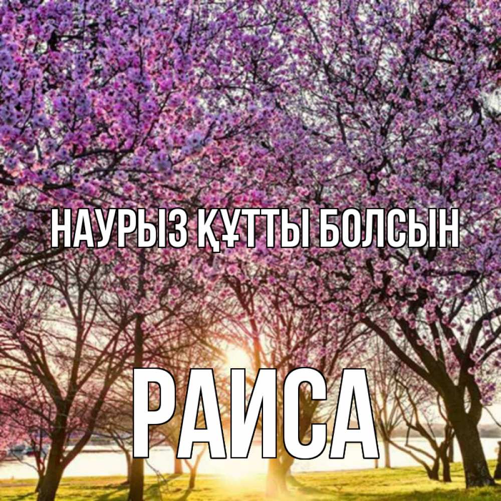 Открытка на каждый день с именем, Раиса Наурыз құтты болсын наурыз Прикольная открытка с пожеланием онлайн скачать бесплатно 